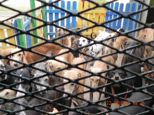Refuge-Nuria-à-Cordoba-6