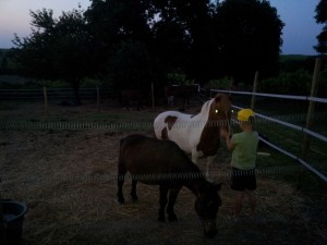 20130720_220428