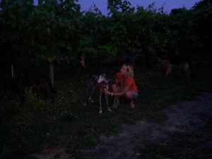 20130720_220606