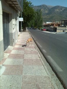 IMG-20130712-WA0003