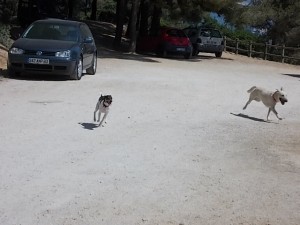 DSCN0090