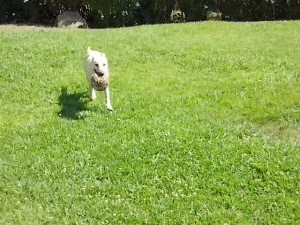 DSCN0102