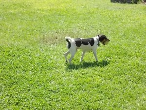 DSCN0114