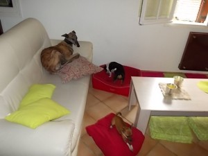 DSCN0134