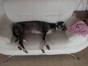 DSCN0136