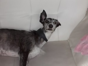 DSCN0137