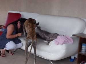 DSCN0142