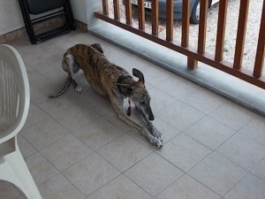DSCN0156