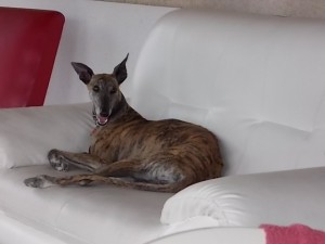 DSCN0167
