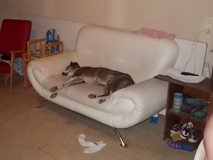 DSCN0174