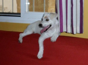 LUPITA