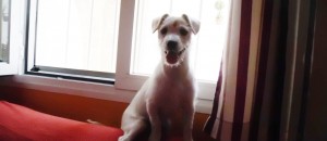 Lupita--3-