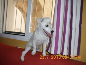 Lupita--4-