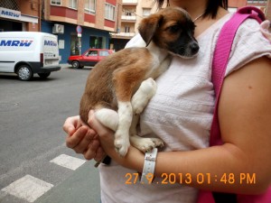 Telma (1)(1)