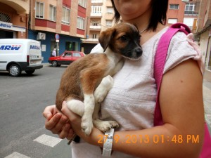 Telma (3)(1)