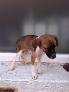Telma recuperandose-3