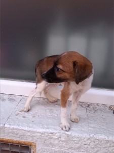 Telma recuperandose-4