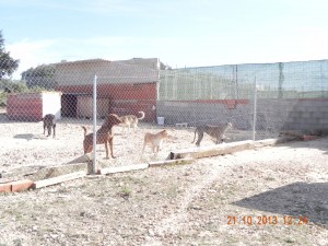 Refuge Motilla Del Plancar (24)