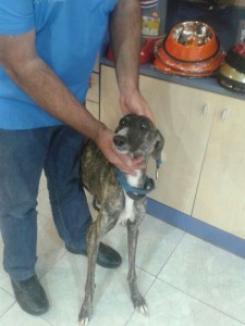 AITANA-4