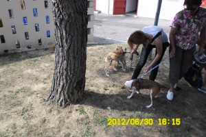 BEETHOVEN 06pg