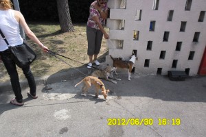 BEETHOVEN 07pg