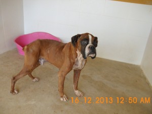 Boxy3