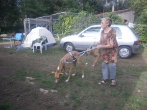 CANELA13