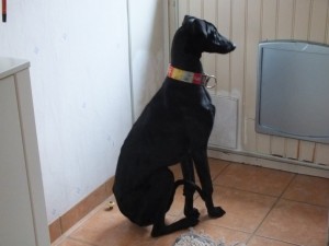 DSCF1204