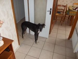 DSCN0233