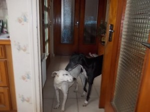 DSCN0235