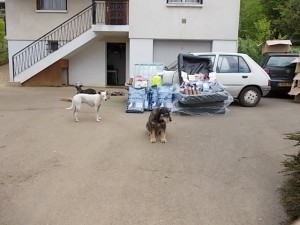 DSCN0567