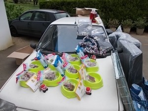 DSCN0571
