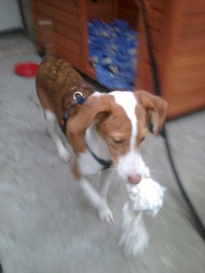 SNOOPY10