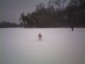 beethovenTRESOR05jpg