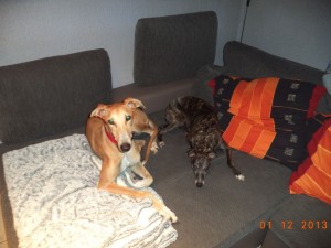 DSC00043