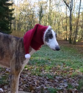 Tavia Noël