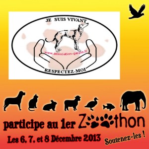 Zoothon3