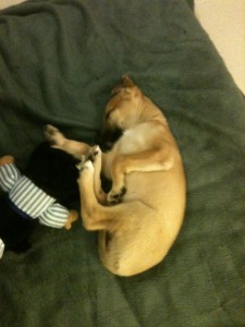 bimba (2)