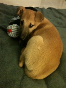 bimba (3)