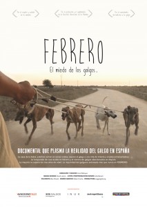 POSTER DOCU FEBRERO DinA3