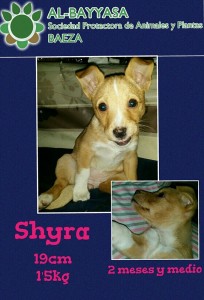 Shyra