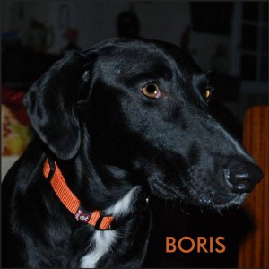 Boris