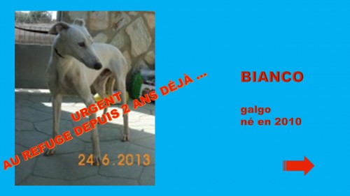 Diapositive1 (21)