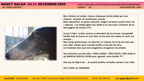 Diapositive2 (23)