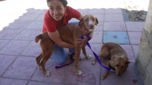 Catalina et Tomillo