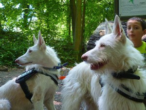 jara et jethro en alerte...