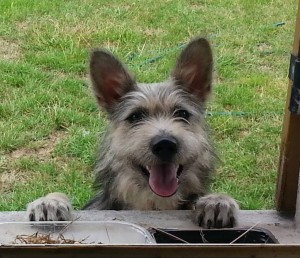 le sourire de marius