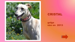 Cristal4