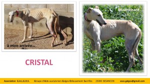 Cristal5