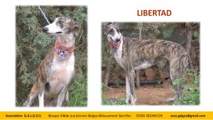 Libertad1